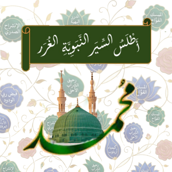 أيقونة قسم الموالد